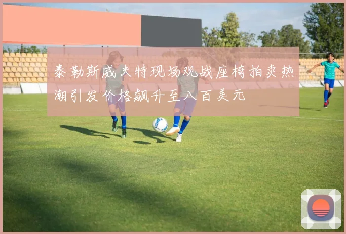 泰勒斯威夫特现场观战座椅拍卖热潮引发价格飙升至八百美元