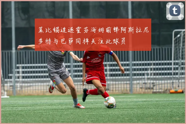 莱比锡追逐霍芬海姆前锋阿斯拉尼多特与巴萨同样关注此球员
